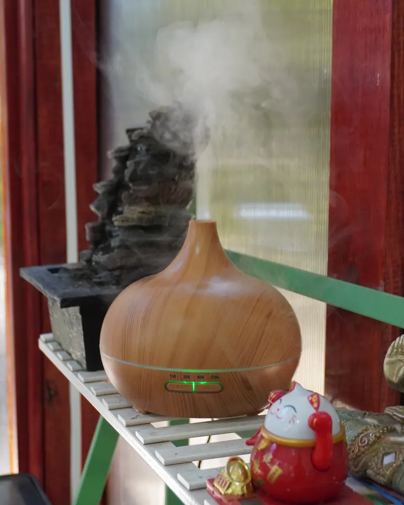 Difusor de aromas y objetos de la consulta
